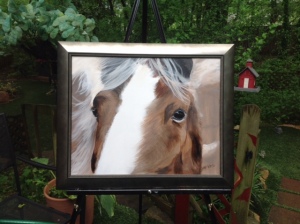 Pony Framed